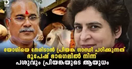 യോഗിയെ നേരിടാന്‍ പ്രിയങ്ക ഗാന്ധി പഠിക്കുന്നത് ഭൂപേഷ് ഭാഗെലില്‍ നിന്ന്; പശുവും പ്രിയങ്കയുടെ ആയുധം