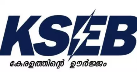 കരാര്‍ ജീവനക്കാര്‍ക്ക് വര്‍ഷാവര്‍ഷം എലിജിബിലിറ്റി പരീക്ഷ; കെ.എസ്.ഇ.ബിക്ക് മനുഷ്യാവകാശ കമ്മീഷന്റെ നോട്ടീസ്