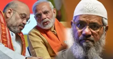 'മോദിയുടെയും അമിത്ഷായുടേയും നിര്‍ദേശത്താല്‍ പ്രതിനിധി  കാണാന്‍ വന്നു'; കശ്മീരില്‍ പിന്തുണച്ചാല്‍ സുരക്ഷിതമായി ഇന്ത്യയിലെത്താമെന്ന് വാഗ്ദാനം നല്‍കിയെന്ന് സാകിര്‍ നായിക്