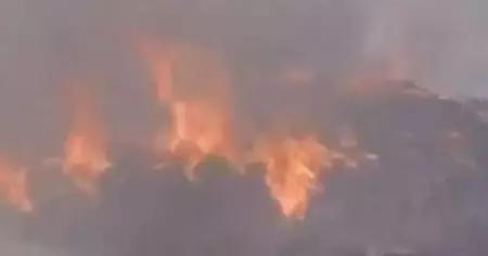 കാട്ടുതീ അണയ്ക്കുന്നതിനിടെ രണ്ട് വനപാലകര്‍ മരിച്ചു; ഒരാള്‍ക്ക് ഗുരുതര പരിക്ക്