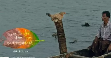 ഇന്ദ്രന്‍സിന് അന്താരാഷ്ട്ര അംഗീകാരം ലഭിച്ച വെയില്‍ മരങ്ങള്‍ റിലീസിന് ; ഫെബ്രുവരി 28 തിയേറ്ററുകളിലെത്തും
