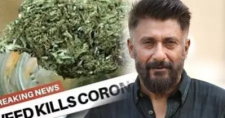 'കഞ്ചാവ് കൊറോണ വൈറസിനെ ഇല്ലാതാക്കും, നിയമവിധേയമാക്കണം'; അവകാശവാദവുമായി സംഘപരിവാര്‍ അനുകൂല സംവിധായകന്‍