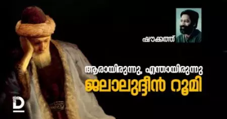 ആരായിരുന്നു, എന്തായിരുന്നു ജലാലുദ്ദീന്‍ റൂമി