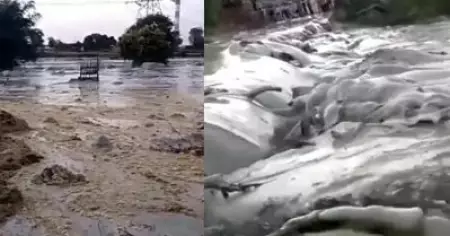 മധ്യപ്രദേശില്‍ റിലയന്‍സിന്റെ കല്‍ക്കരി പ്ലാന്റില്‍ നിന്നും വിഷമയമുള്ള മാലിന്യം പുറത്തേക്കൊഴുകി; അഞ്ചു പ്രദേശവാസികളെ കാണാതായി