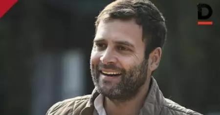 രാഹുൽ ഇടപെട്ടു; പഞ്ചാബിൽ കുടുങ്ങിയ മലയാളി വിദ്യാർത്ഥികൾ ബസിൽ ബുധനാഴ്ച്ച കേരളത്തിലെത്തും