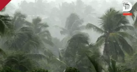 ഏഴ് ജില്ലകളിൽ കനത്ത മഴയ്ക്ക് സാധ്യത; അരുവിക്കര ഡാമിന്റെ ഷട്ടറുകൾ തുറന്നു