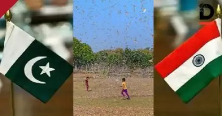 വെട്ടുകിളികള്‍ പാകിസ്താന്റെ ആക്രമണമെന്ന് ജനം ടി.വി; ഇന്ത്യയും പാകിസ്താനും ഇതുവരെയും വെട്ടുകിളികള്‍ക്കെതിരെ ഒരുമിച്ച്, ചരിത്രം പരിശോധിക്കുമ്പോള്‍