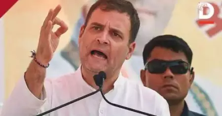 'ലോക്ഡൗണ്‍ പരാജയം ഇങ്ങനെയാണ്'; മറ്റ് രാജ്യങ്ങളുമായി ഇന്ത്യന്‍ ലോക്ഡൗണിനെ താരതമ്യപ്പെടുത്തി രാഹുല്‍ഗാന്ധി, വിശദീകരണം ചിത്രീകരണത്തിലൂടെ