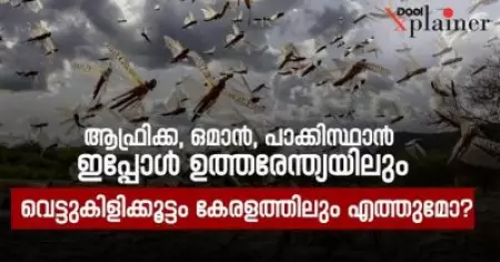 ആഫ്രിക്ക, ഒമാന്‍, പാക്കിസ്ഥാന്‍ ഇപ്പോള്‍ ഉത്തരേന്ത്യയിലും
വെട്ടുകിളിക്കൂട്ടം കേരളത്തിലും എത്തുമോ?