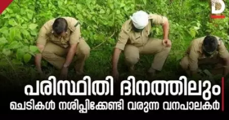 പരിസ്ഥിതി ദിനത്തിലും ചെടികള്‍ നശിപ്പിക്കേണ്ടി വരുന്ന വനപാലകര്‍