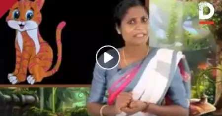 തങ്കുപൂച്ചയുടെയും മിട്ടുപൂച്ചയുടെയും കഥ ഗോത്രഭാഷയില്‍ പഠിപ്പിക്കുന്ന മഞ്ജു ടീച്ചര്‍, വീഡിയോ വൈറലാവുന്നു
