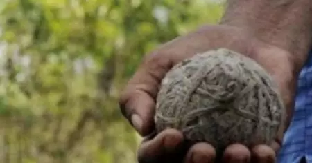 കണ്ണൂരില്‍ സംഘര്‍ഷാവസ്ഥ; തില്ലങ്കേരിയില്‍ എസ്.ഡി.പി.ഐ പ്രകടനത്തിനു നേരെ ബോംബേറ്