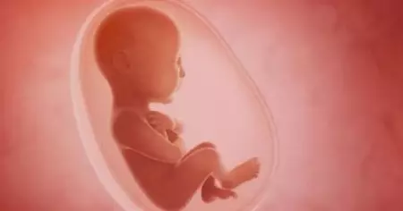 പരിശോധനയില്‍ ഗര്‍ഭസ്ഥശിശുവിന് വൈകല്യം: ഗര്‍ഭച്ഛിദ്രത്തിന് അനുമതി നല്‍കില്ലെന്ന് യുവതിയോട് ബോംബേ ഹൈക്കോടതി