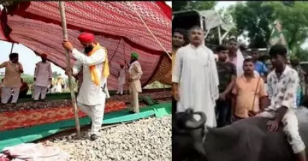 ബീഹാറില്‍ പോത്തുകള്‍ക്ക് മുകളില്‍ കയറി കര്‍ഷകര്‍, പഞ്ചാബില്‍ റെയില്‍വേ ട്രാക്കില്‍ സമരപന്തല്‍; ഭാരത് ബന്ദില്‍ വന്‍ ജനപങ്കാളിത്തം