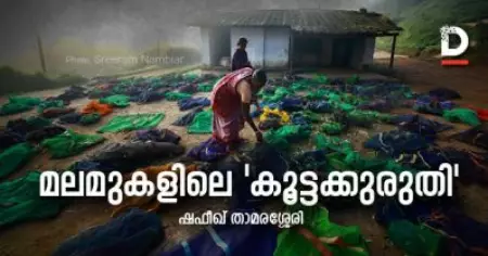 മലമുകളിലെ കൂട്ടക്കുരുതി