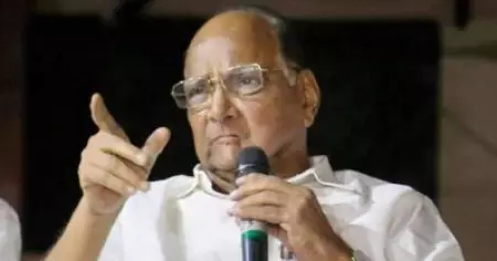 നക്സലൈറ്റുകളാക്കി കുറച്ചു പേരെ അകത്തിട്ടിട്ടുണ്ട്, ബി.ജെ.പി രക്ഷപ്പെടുത്തിയവരെയൊന്നും വെറുതെ വിടില്ല; ഭീമ-കൊറേഗാവ് കേസിലെ 'യഥാര്‍ത്ഥ പ്രതികളെ'പിടിക്കാന്‍ അന്വേഷണ സംഘം രൂപീകരിക്കാനൊരുങ്ങി ശരദ് പവാര്‍