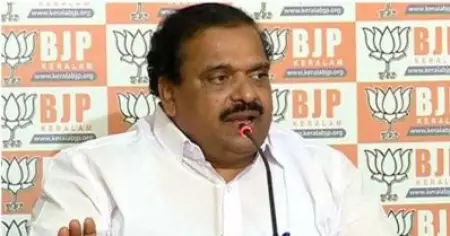 സി.കെ. ജാനുവിനെ പണം നല്‍കി എന്‍.ഡി.എയിലെടുക്കേണ്ട കാര്യമില്ല, എത്തിയത് രാഷ്ട്രീയ നിലപാടിന്റെ ഭാഗമായി; പി.കെ. കൃഷ്ണദാസ്