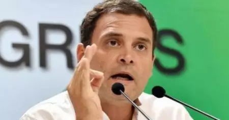 'കേന്ദ്ര ആരോഗ്യമന്ത്രിയുടെ പ്രസ്താവന നിര്‍ഭാഗ്യകരം'; കേരളത്തിന്റെ കൊവിഡ് പ്രതിരോധം മികച്ച രീതിയിലെന്ന് രാഹുല്‍ ഗാന്ധി