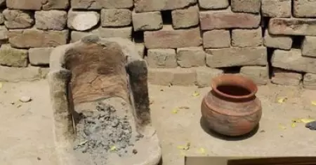 ബീഫ് ഇഷ്ടമായിരുന്നു സിന്ധു നദീതട സംസ്‌കാരത്തിലെ ജനങ്ങള്‍ക്ക്; തെളിവുകള്‍ പുറത്ത് വിട്ട് പഠനം