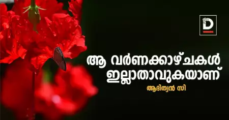 ആ വര്‍ണക്കാഴ്ചകള്‍ ഇല്ലാതാവുകയാണ് | ആദിത്യന്‍ സി