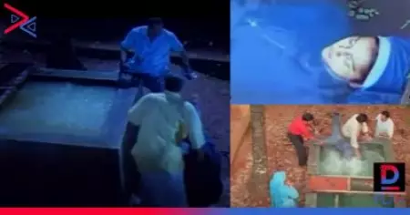 'അമലയെ മുക്കിക്കൊല്ലുന്ന സീന്‍ എടുക്കുമ്പോഴൊക്കെ വാട്ടര്‍ടാങ്ക് പൊട്ടും, നാല് തവണ ഇതാവര്‍ത്തിച്ചതോടെ എല്ലാവര്‍ക്കും ഭയമായി': അനുഭവം പങ്കുവെച്ച് ക്രൈം ഫയല്‍ തിരക്കഥാകൃത്ത്