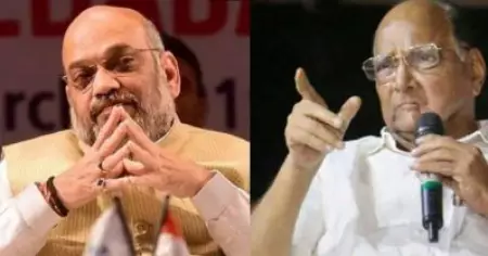 അങ്ങ് ദല്‍ഹിയിലിരുന്ന് വിചാരിച്ചാല്‍ ഉണ്ടാക്കാന്‍ പറ്റുന്നതല്ല കൃഷി; കേന്ദ്രത്തോട് പവാര്‍