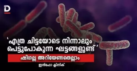 'എത്ര ചിട്ടയോടെ നിന്നാലും പെട്ടുപോകുന്ന ഘട്ടങ്ങളുണ്ട്'; ഷി​ഗല്ല അറിയേണ്ടതെല്ലാം