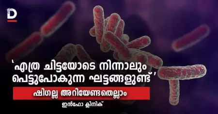 'എത്ര ചിട്ടയോടെ നിന്നാലും പെട്ടുപോകുന്ന ഘട്ടങ്ങളുണ്ട്'; ഷി​ഗല്ല അറിയേണ്ടതെല്ലാം