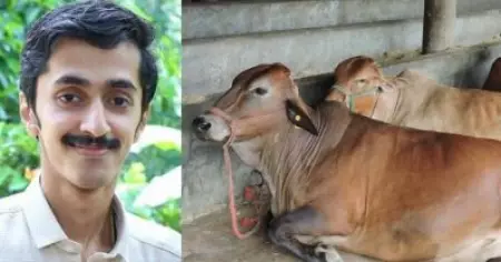 പരിചയമില്ലാത്തവര്‍ വന്നാല്‍ ഇന്ത്യന്‍ പശു എഴുന്നേല്‍ക്കും, ജേഴ്‌സിപ്പശുവിന് വികാരങ്ങളില്ല; പശു ശാസ്ത്ര പരീക്ഷക്ക് രജിസ്റ്റര്‍ ചെയ്തപ്പോള്‍ ലഭിച്ച സിലബസിനെ പരിഹസിച്ച് യുവ ഡോക്ടര്‍