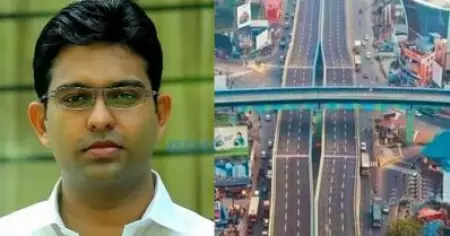 വൈറ്റില മേല്‍പ്പാലം അനധികൃതമായി തുറന്ന സംഭവം; വീ ഫോര്‍ കേരള നേതാവ് നിപുണ്‍ ചെറിയാന് ജാമ്യം