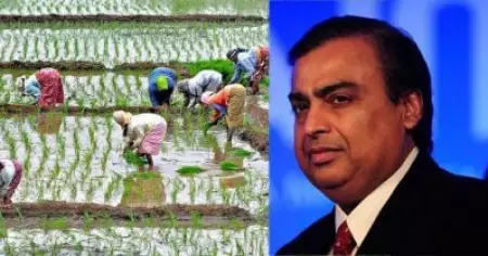 താങ്ങുവിലയേക്കാള്‍ കൂടുതല്‍ തുക കര്‍ഷകര്‍ക്ക് നല്‍കി റിലയന്‍സ്; കോര്‍പ്പറേറ്റ് തന്ത്രമെന്ന് കര്‍ഷകര്‍
