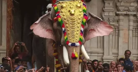 ഉപാധികള്‍ ലംഘിച്ചു; തെച്ചിക്കോട്ടുകാവ് രാമചന്ദ്രന് വീണ്ടും വിലക്ക്