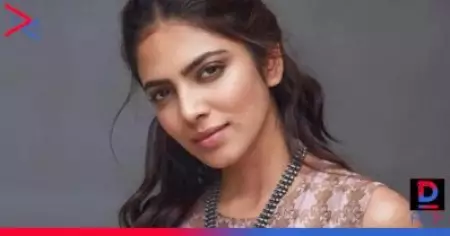അധികം സംസാരിക്കാത്ത ഒരാളില്‍ നിന്ന് അങ്ങനെയൊരു കമന്റ് വരുന്നത് ഭാഗ്യമാണ്, അന്ന് വിജയ് പറഞ്ഞത്; മാളവിക മോഹനന്‍ പറയുന്നു