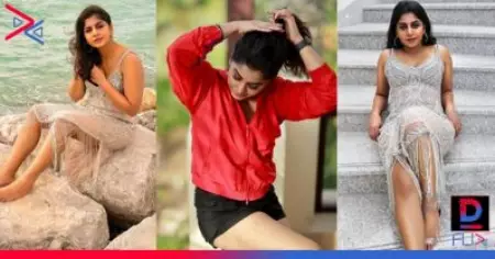 സണ്ണി ലിയോണിനെ കടത്തിവെട്ടുമല്ലോ എന്ന് കമന്റ്; ആരാ വീട്ടിലുള്ളവരാണോയെന്ന് മീര നന്ദന്റെ മറുപടി