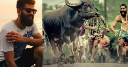 മൃഗങ്ങളെവെച്ച് എടുത്ത ചില സിനിമകള്‍ കോമാളിക്കളിയായിട്ടുണ്ട്, ഇത് പിടിവിട്ടുപോകുമോ എന്ന് എല്ലാവര്‍ക്കും ആശങ്കയുണ്ടായിരുന്നു; ജല്ലിക്കട്ട് ചിത്രീകരണത്തെ കുറിച്ച് ഗിരീഷ് ഗംഗാധരന്‍