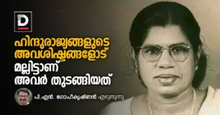 ഹിന്ദുരാജ്യങ്ങളുടെ അവശിഷ്ടങ്ങളോട് മല്ലിട്ടാണ് അവര്‍ തുടങ്ങിയത് |പി.എന്‍. ഗോപീകൃഷ്ണന്‍ എഴുതുന്നു
