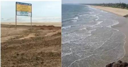 കണ്ണൂര്‍ പയ്യാമ്പലം ബീച്ചില്‍ ശ്മശാനത്തിലെ അവശിഷ്ടങ്ങള്‍ തള്ളി; നിയമ നടപടിക്കൊരുങ്ങി ഡി.ടി.പി.സി.