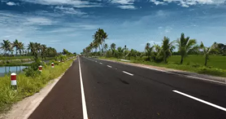 റോഡ് നവീകരണം: ആലപ്പുഴ-ചങ്ങനാശ്ശേരി റോഡിലെ 787 തണല്‍മരങ്ങള്‍ മുറിച്ചുമാറ്റും