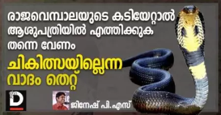 രാജവെമ്പാലയുടെ കടിയേറ്റാല്‍ ആശുപത്രിയില്‍ എത്തിക്കുക തന്നെ വേണം; ചികിത്സയില്ലെന്ന വാദം തെറ്റ്