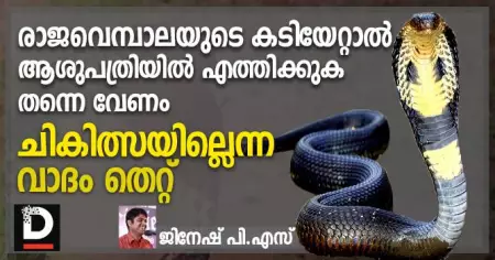 രാജവെമ്പാലയുടെ കടിയേറ്റാല്‍ ആശുപത്രിയില്‍ എത്തിക്കുക തന്നെ വേണം; ചികിത്സയില്ലെന്ന വാദം തെറ്റ്