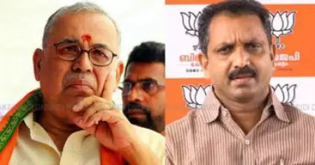 സുരേന്ദ്രന്‍ അധ്യക്ഷ സ്ഥാനത്ത് നിന്ന് മാറിനില്‍ക്കണം: പി.പി. മുകുന്ദന്‍