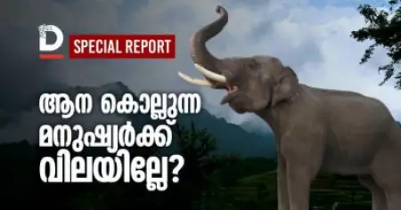 ആന കൊല്ലുന്ന മനുഷ്യര്‍ക്ക് വിലയില്ലേ | Special Report