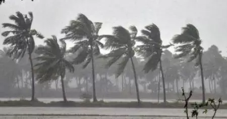 ഇന്ന് ഉച്ചയ്ക്ക് ശേഷം മഴ കനക്കും; എട്ട് ജില്ലകളില്‍ ഓറഞ്ച് അലേര്‍ട്ട്