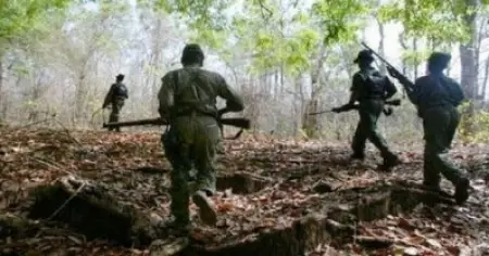മഹാരാഷ്ട്രയില്‍ വന്‍ മാവോയിസ്റ്റ് വേട്ട; 26 മാവോയിസ്റ്റുകള്‍ കൊല്ലപ്പെട്ടു