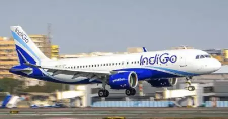കാര്‍ഗോ കംപാര്‍ട്ട്‌മെന്റില്‍ കിടന്നുറങ്ങിപ്പോയി; ഇന്‍ഡിഗോ എയര്‍ലൈന്‍സിലെ ലോഡിങ് തൊഴിലാളി ചെന്നിറങ്ങിയത് അബുദാബിയില്‍
