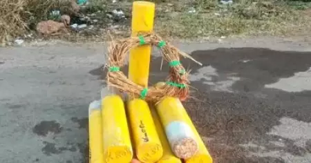 മാടായിപ്പാറയില്‍ സില്‍വര്‍ ലൈന്‍ സര്‍വേക്കല്ലുകളില്‍ റീത്ത്; അതിരടയാളക്കല്ലുകള്‍ പിഴുതുമാറ്റി