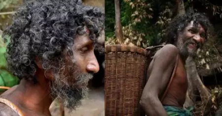ചോലനായ്ക്കരുടെ മുഖമായിരുന്ന ആദിവാസി വൃദ്ധന്‍ കാട്ടാന ആക്രമണത്തില്‍ കൊല്ലപ്പെട്ടു