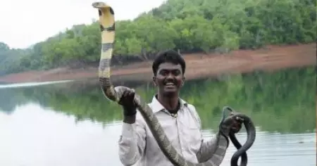 വാവ സുരേഷ് പാമ്പുപിടുത്തത്തിനിടെ മുമ്പും അപകടത്തില്‍പ്പെട്ടു; രീതി അശാസ്ത്രീയമെന്ന് വിമര്‍ശനം