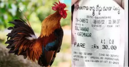 പൂവന്‍കോഴിക്ക് 30 രൂപ ടിക്കറ്റ് എടുപ്പിച്ച് കണ്ടക്ടര്‍