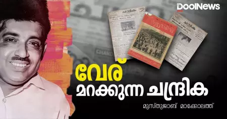 വേര് മറക്കുന്ന ചന്ദ്രിക